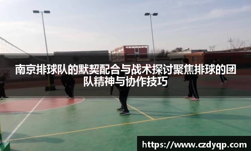 mk体育在线官网