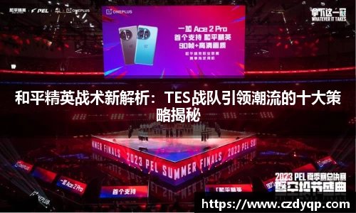 mk体育官网入口