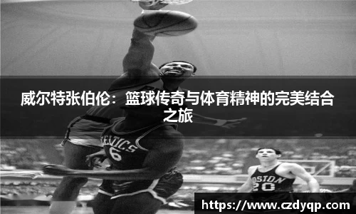 mk体育官网入口