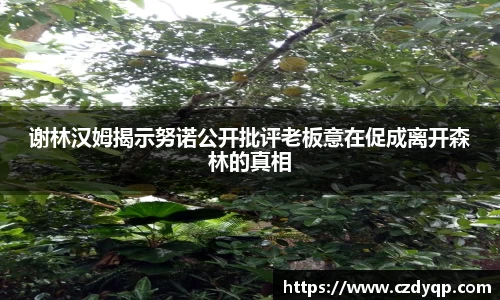 mk体育